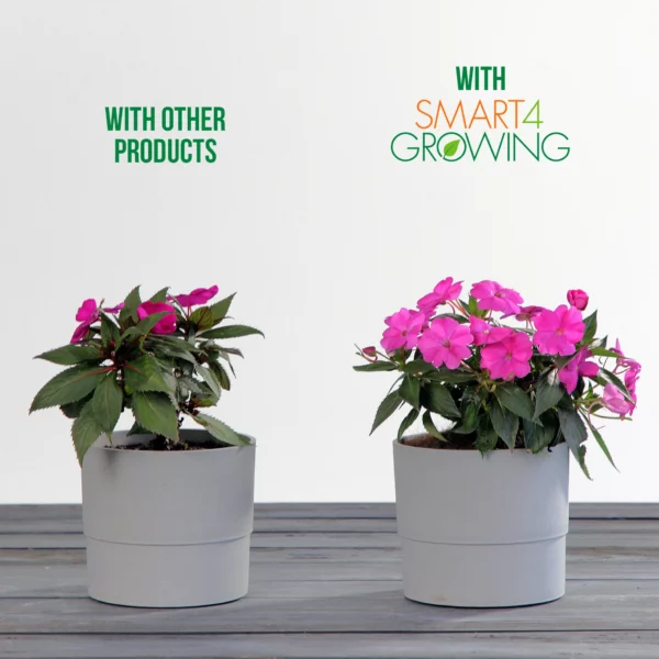 2 potted plants one that says Smart4Growing and has more blooms